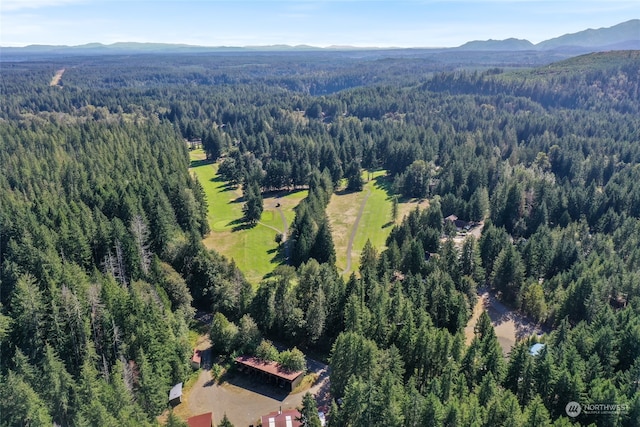 aerial view with a mountain view