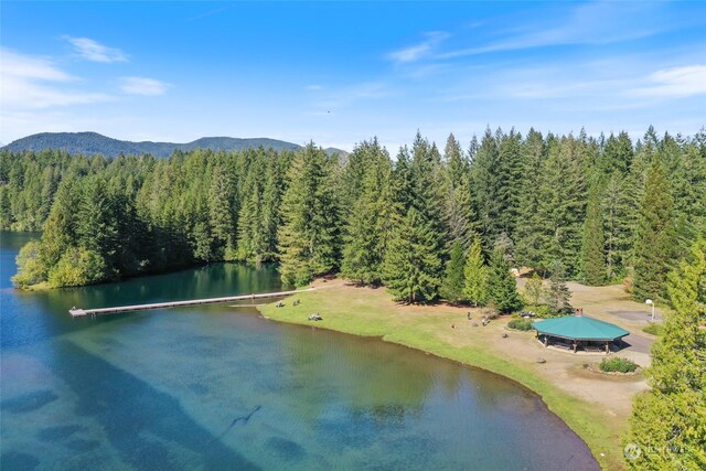 aerial view featuring a forest view and a water and mountain view