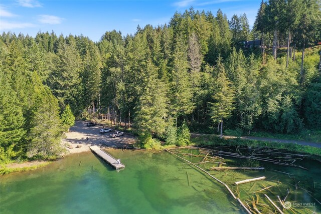 drone / aerial view featuring a water view and a view of trees