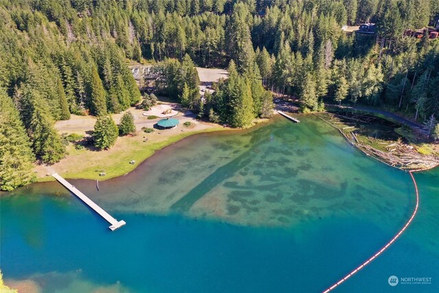 birds eye view of property featuring a water view and a forest view