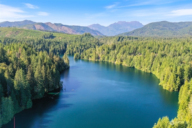 birds eye view of property featuring a water and mountain view