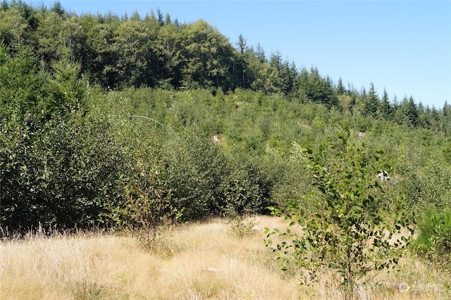 0NKA Lund Rd, Cosmopolis, WA 98537