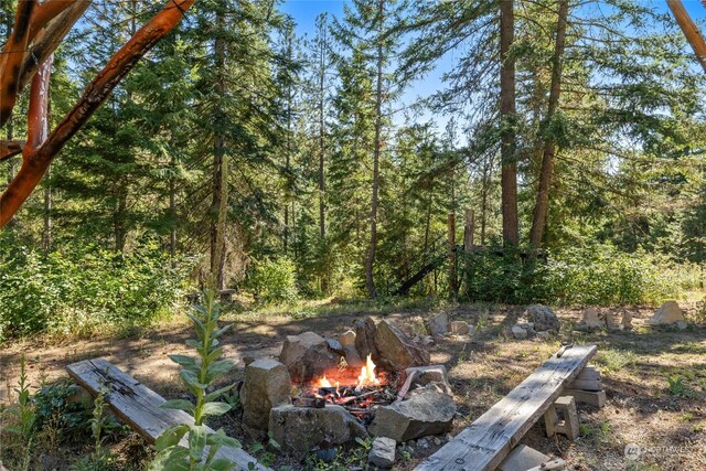 170 Morrel Rd, Ronald, WA 98940 - photo 30
