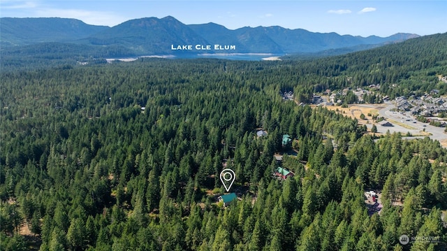 170 Morrel Rd, Ronald, WA 98940 - photo 34