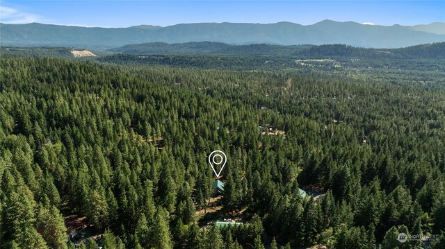 170 Morrel Rd, Ronald, WA 98940 - photo 40