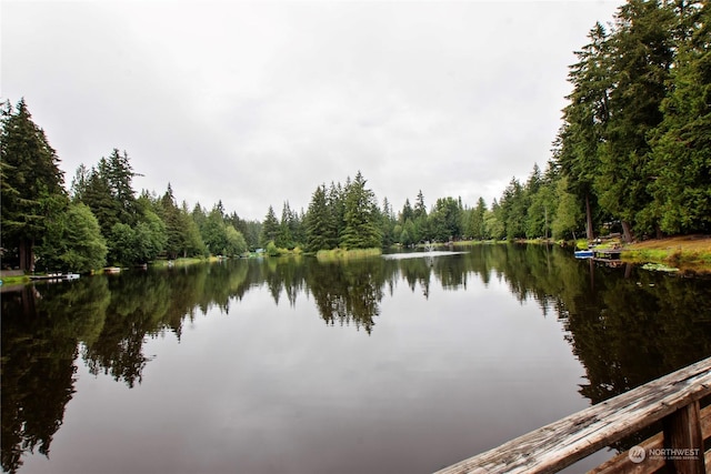 water view featuring a wooded view