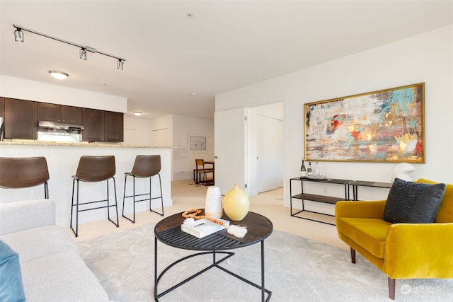 carpeted living room featuring rail lighting