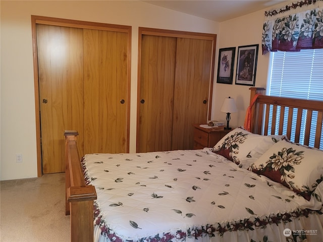 carpeted bedroom with two closets