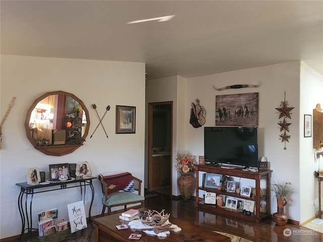 living room with hardwood / wood-style floors