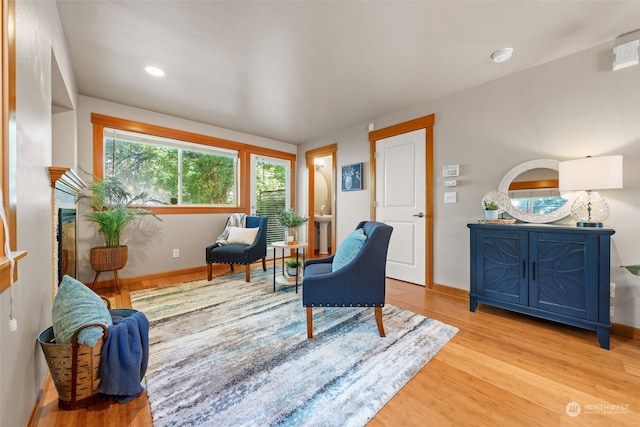 living room with sink, wood-type flooring, and a fireplace