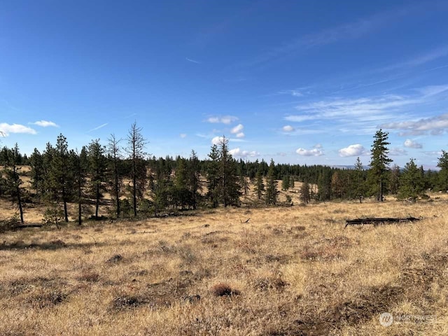 0XXXX Old Mountain Rd N, Goldendale WA, 98620 land for sale