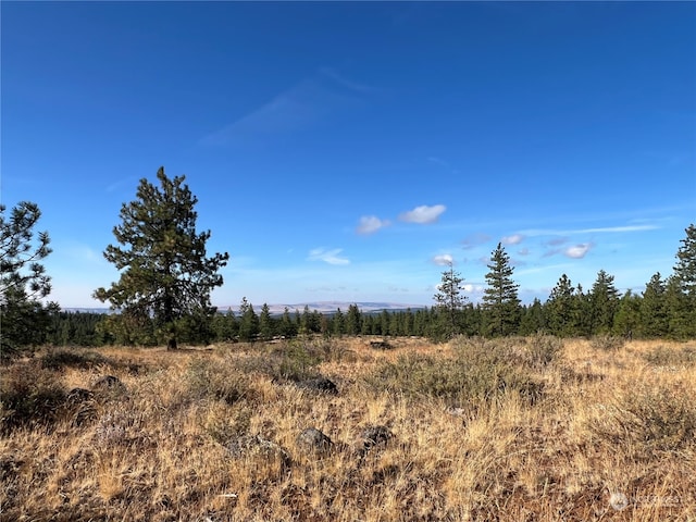 Listing photo 3 for 0XXXX Old Mountain Rd N, Goldendale WA 98620