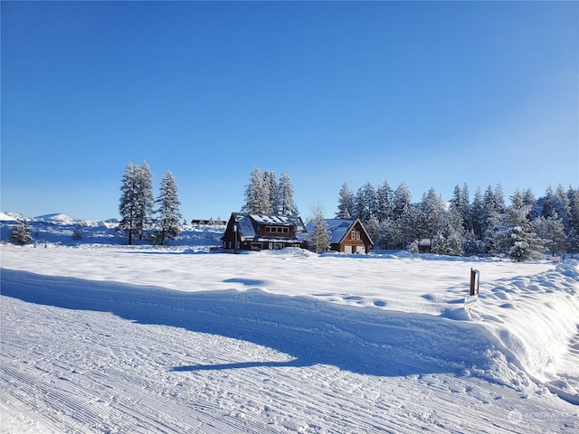 view of yard covered in snow