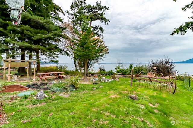 view of yard with a water view