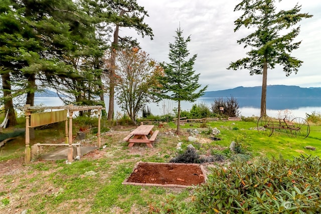 view of yard with a water and mountain view