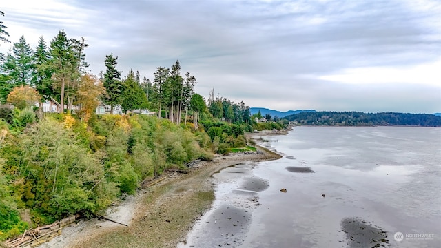 property view of water with a mountain view