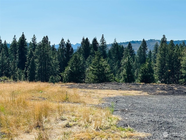 3XX Rockrose Dr, Ronald, WA 98940 - photo 33