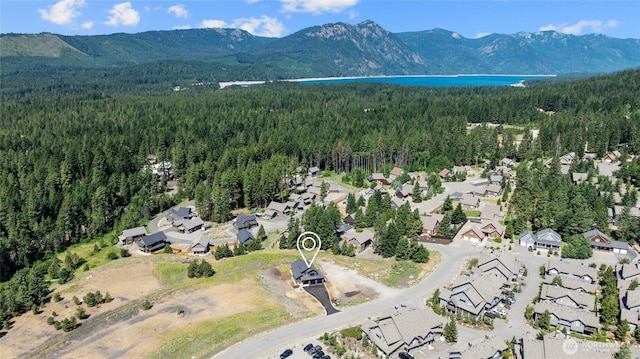 3XX Rockrose Dr, Ronald, WA 98940 - photo 34