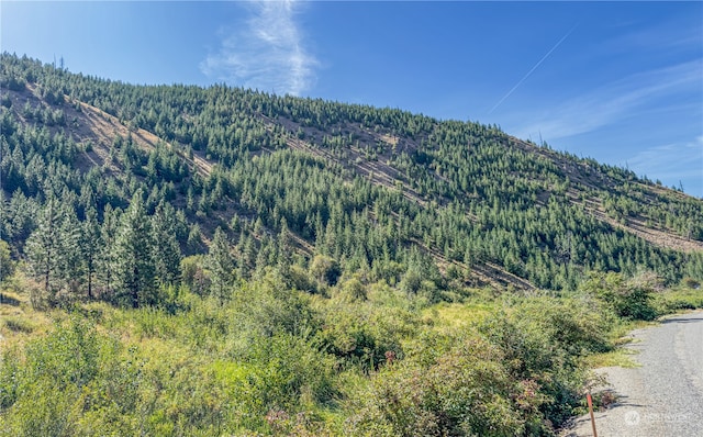 10558 Mud Creek Rd, Entiat WA, 98822 land for sale