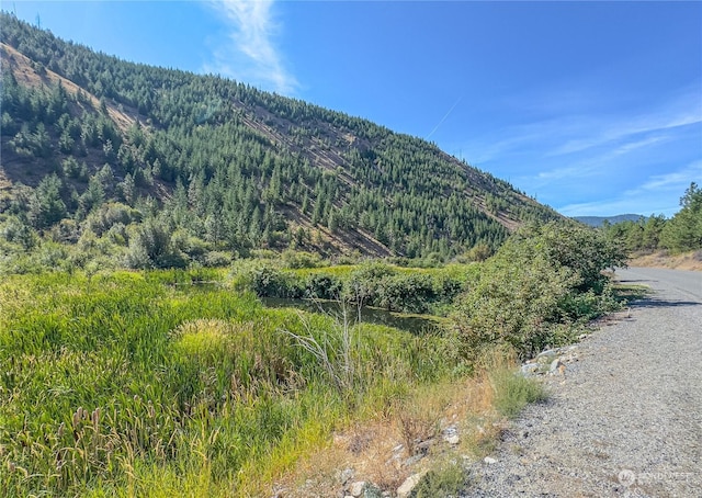 10558 Mud Creek Rd, Entiat, WA 98822 - photo 2