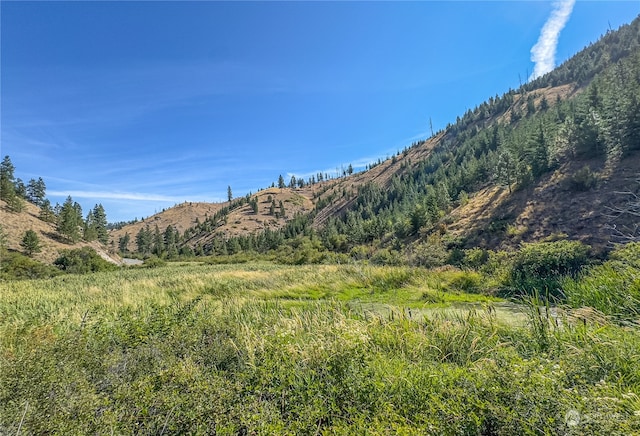 Listing photo 3 for 10558 Mud Creek Rd, Entiat WA 98822