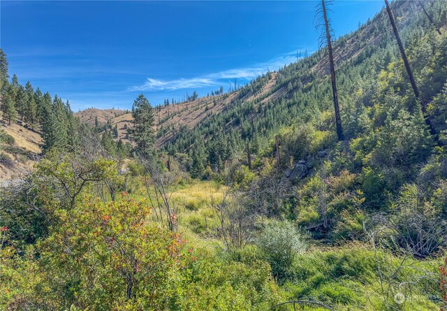 10558 Mud Creek Rd, Entiat, WA 98822 - photo 4