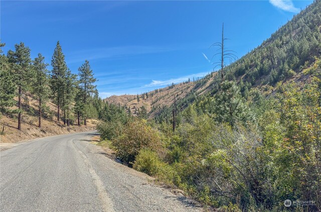 10558 Mud Creek Rd, Entiat, WA 98822 - photo 6