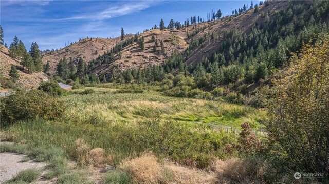 10558 Mud Creek Rd, Entiat, WA 98822 - photo 7