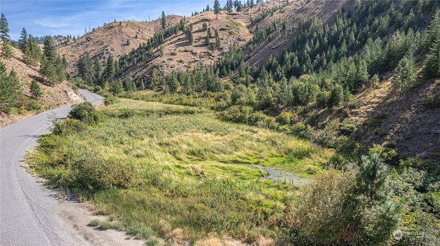 10558 Mud Creek Rd, Entiat, WA 98822 - photo 8