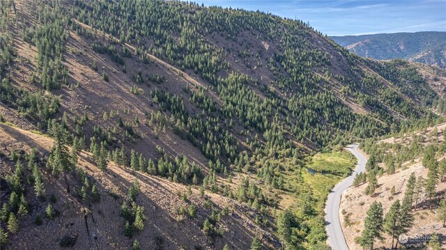 10558 Mud Creek Rd, Entiat, WA 98822 - photo 9