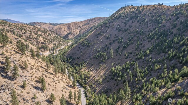10558 Mud Creek Rd, Entiat, WA 98822 - photo 11