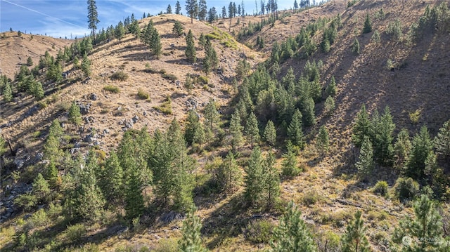 10558 Mud Creek Rd, Entiat, WA 98822 - photo 12