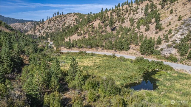 10558 Mud Creek Rd, Entiat, WA 98822 - photo 13