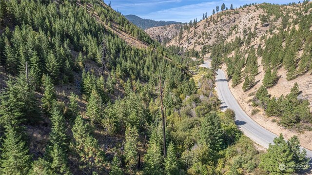 10558 Mud Creek Rd, Entiat, WA 98822 - photo 14