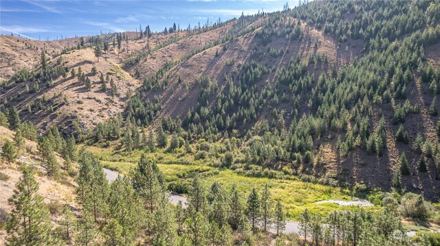 10558 Mud Creek Rd, Entiat, WA 98822 - photo 15