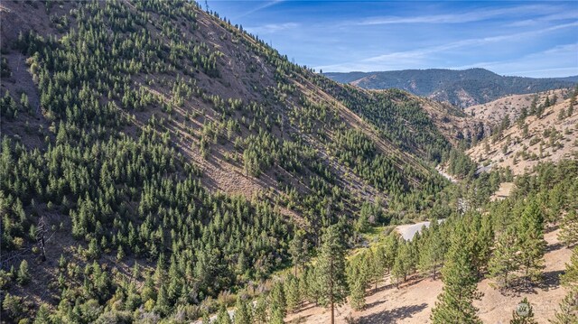 10558 Mud Creek Rd, Entiat, WA 98822 - photo 16