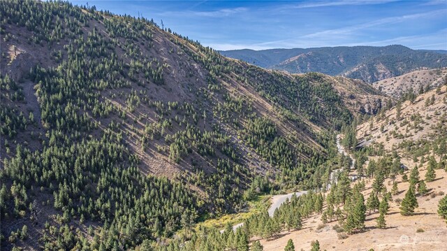 10558 Mud Creek Rd, Entiat, WA 98822 - photo 17