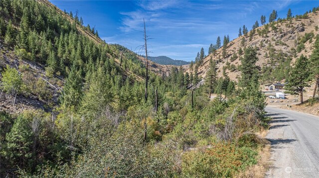 10558 Mud Creek Rd, Entiat, WA 98822 - photo 19