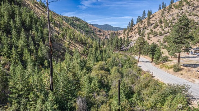 10558 Mud Creek Rd, Entiat, WA 98822 - photo 20