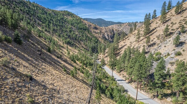 10558 Mud Creek Rd, Entiat, WA 98822 - photo 21