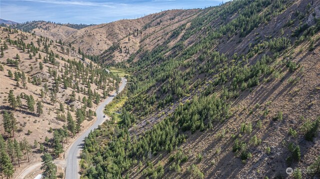 10558 Mud Creek Rd, Entiat, WA 98822 - photo 23