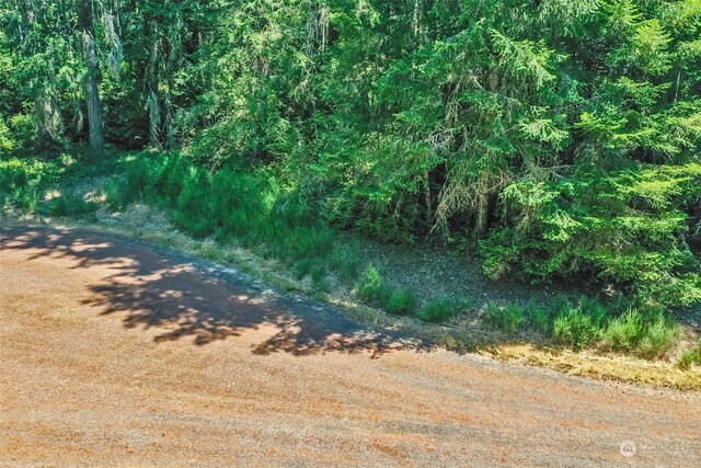 12315 110th Street Ct, Anderson Island, WA 98303