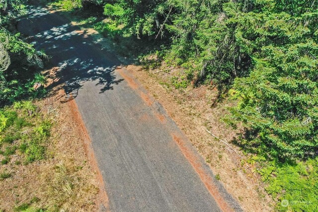 12315 110th Street Ct, Anderson Island, WA 98303