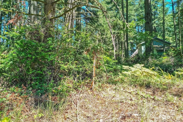 12315 110th Street Ct, Anderson Island, WA 98303