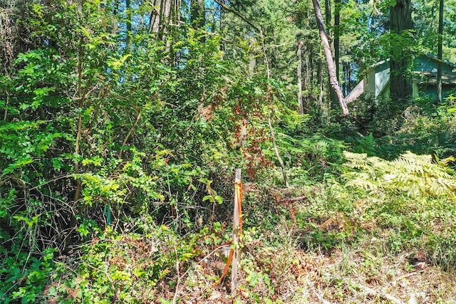 12315 110th Street Ct, Anderson Island, WA 98303