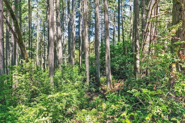 12315 110th Street Ct, Anderson Island, WA 98303