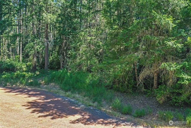 12315 110th Street Ct, Anderson Island, WA 98303
