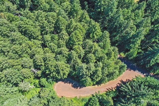12315 110th Street Ct, Anderson Island, WA 98303
