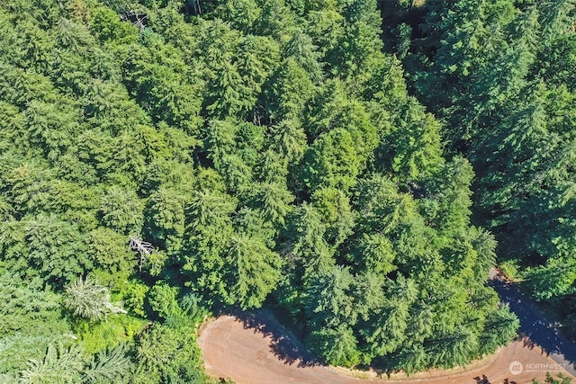 12315 110th Street Ct, Anderson Island, WA 98303