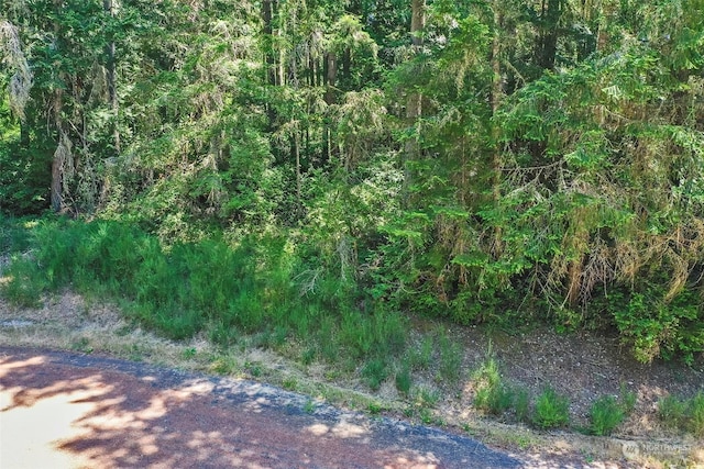 12315 110th Street Ct, Anderson Island, WA 98303